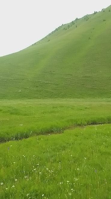 Сегментные косилки: Косилка-пальцевая (навесная на трактор) - Тип: сегментно-пальцевая — 2