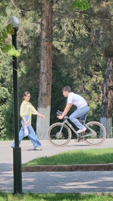 программы для 3d моделирования red giant: Городской велосипед, Рама XL (180 - 195 см), Б/у — 14