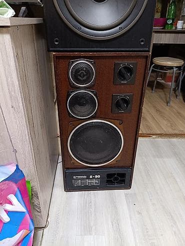 sound system: Акустическая система Radiotehnika S-90 (35АС-012) - Классические — 1