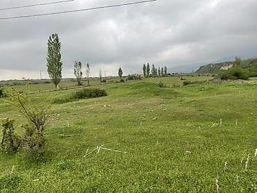 пахатная земля: 20 соток, Для строительства — 3