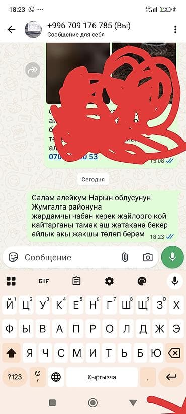Требуется помощник чабана (пастух) для выпаса овец на летнем джайлоо в
