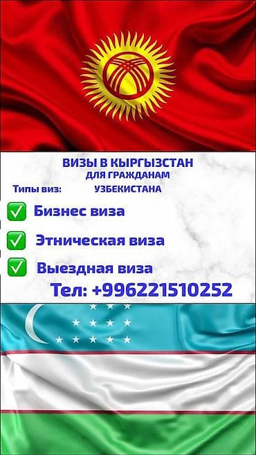 Виза+Регистрация Оформление e-visa Kyrgyzstan (Кыргызстан/Узбекистан)