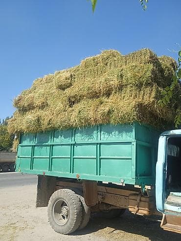 Үй жаныбарлары: Сено в тюках - Натуральное луговое сено, прессованное в прямоугольные — 1