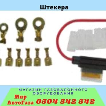 стаг: ГБО, Новый — 6