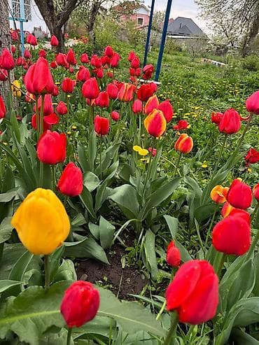 письменные столы бишкек: Самовывоз — 10