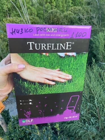 для газона: Газон газоны спорт низко рослый солнечный теневой универсальный — 2