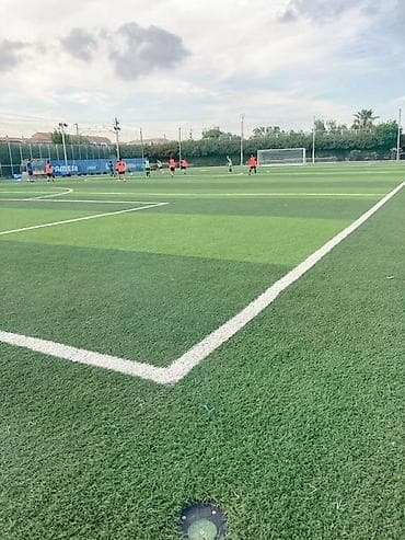 купить газон для футбольного поля: ⚽ Профессиональное строительство футбольных полей Реализуем проекты — 2