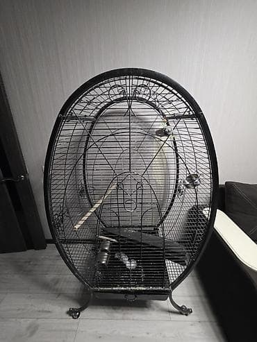 тоок турлору: Продаю клетку большую срочно. брола дорого отдам дешевле. 16000сом — 2