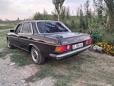 350 rx: Mercedes-Benz W123: 1983 г., 2.5 л, Механика, Седан — 9