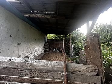 дом с участком: 2 Дома с большим двором и хозпостройками: очок кана, баня, 4 сарая — 9