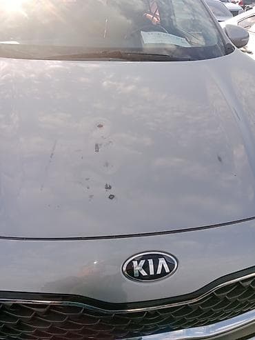 вмв 320: Kia Sportage: 2019 г., 2 л, Автомат, Дизель, Кроссовер — 5