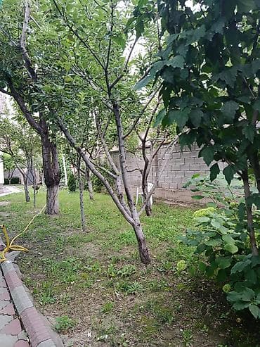 Недвижимость: Продаётся жилой дом с благоустроенным двором и садом. Особенности — 2