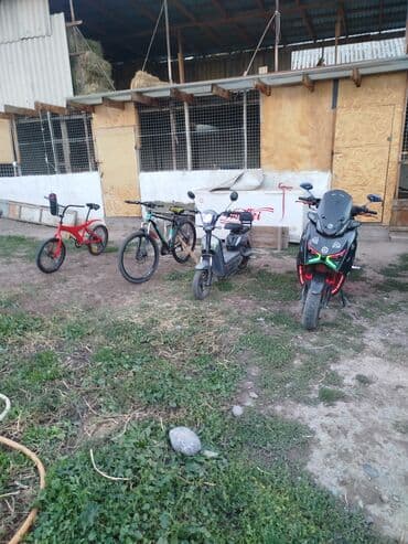 машина в кредит без первоначального взноса бишкек: Срочно продаётся все — 2