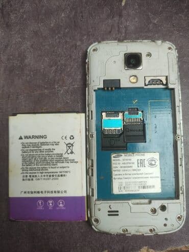 необычные животные: 500с — 2