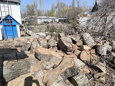 уголь беш сары отзывы: Дрова Орех, Самовывоз — 2