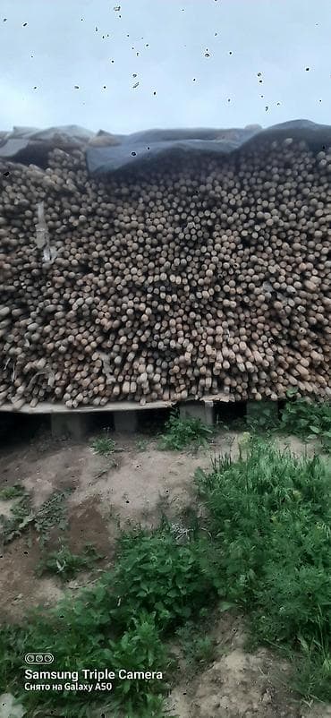 кусторез аккумуляторный: Черенки для садового инвентаря — 3