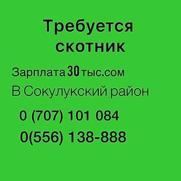ersag вход в личный кабинет кыргызстан: Требуется скотник для работы в Сокулукском районе. Предлагается — 1