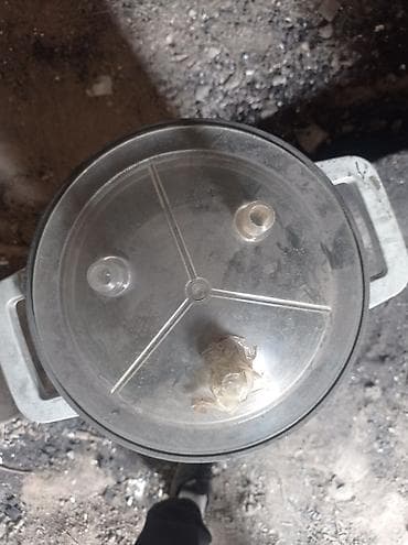 дойная апарат: Доильный аппарат на тележке AKÇAY - Электрический вакуумный доильный — 3