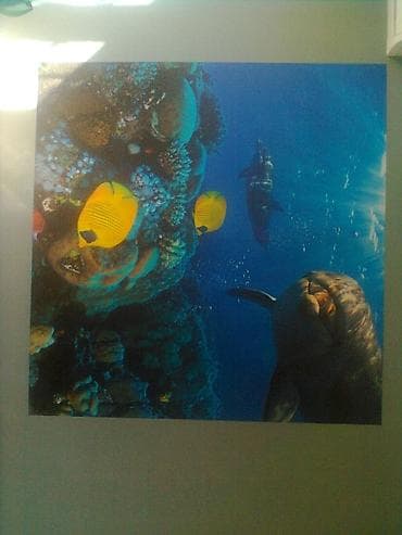 Фундамент крыша стяжка обои краска шпаклевка ламинат сантехника