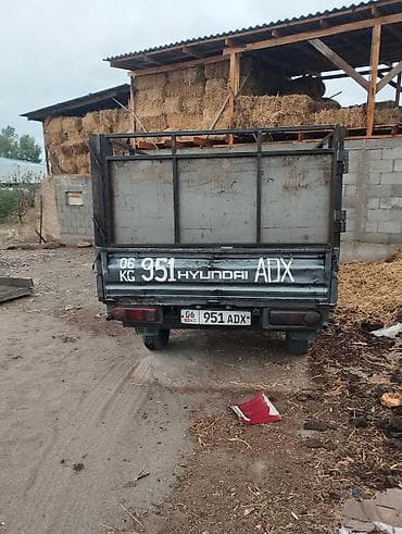 aion v: Легкий грузовик, Hyundai, Стандарт, До 1 т — 7