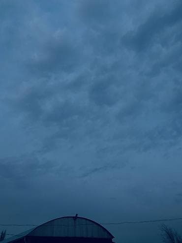 детский сад арча бешик: Официант. Тажрыйбасыз — 1