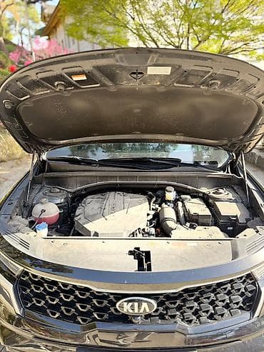 108: Kia Sorento: 2020 г. — 4