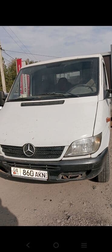 Собаки: Продаю | Коза (самка) — 8