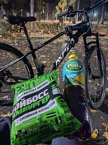 talon 2: Горный велосипед, Рама L (172 - 185 см), Алюминий, Б/у — 10