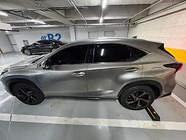 гранаты лексус: Lexus NX: 2020 г., Гибрид, Кроссовер — 4