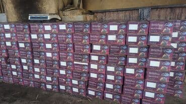 шкаф пенал бишкек: Сушёная слива (чернослив без косточки) - Натуральная сушка из спелых — 2