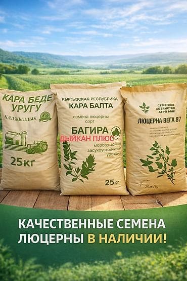 трав: БЕДЕ УРУК БАГИРА, ДЖЕА ОПТОМ, В РОЗНИЦУ Семена люцерны (альфальфа) в — 1