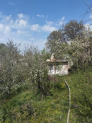 участка сатылат: Продаю Дачу кирп., участок 8 соток, по Кадастровому Плану - 7,52 — 6