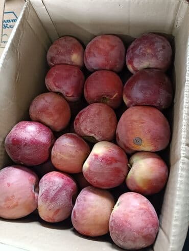 куплю малину оптом: Яблоки В розницу — 2