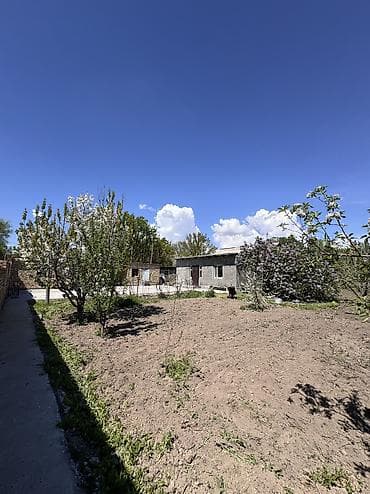 ройон восток: Дом кирпичный, 4 комнаты, Большой участок, 20 сотых, село Гроздь — 7