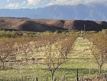 баткенский: 600 соток, Действующий, Электричество, Холодная вода — 10