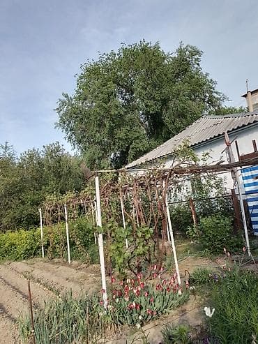 сан уйлар: Продаётся частный дом с двориком и садом. Характеристики: - Отдельно — 8