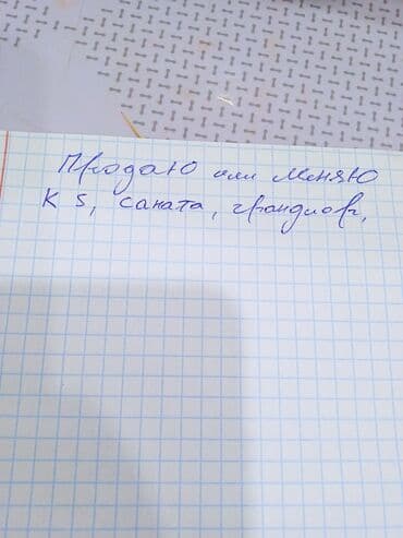 авто портер: Легкий грузовик, Hyundai, Стандарт — 4