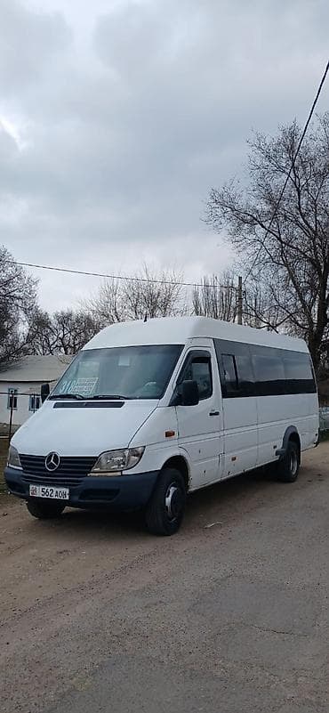 спринтер каратишка: Автобус, Mercedes-Benz — 4