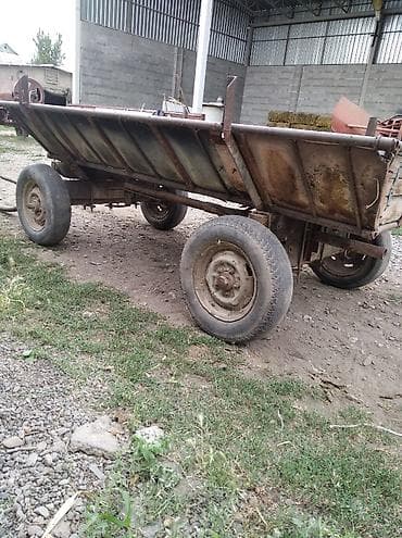Үй жаныбарлары: Сатам | Байтал — 3