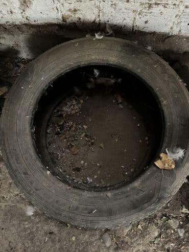 новые шины бишкек: Шины 215 / 55 / R 17, Всесезонная, Новый, 1 шт, Легковые, Германия, GoodYear — 1