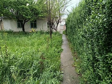 дом кунту: ПРОДАЕТСЯ ДОМ село Күн-Туу, 2 линия от центральной трассы, рядом — 4