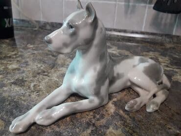 Королевский дог ЛФЗ