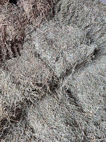 Кемирүүчүлөр: Продаю тюки — 3