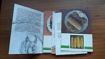 solutions pre intermediate workbook: ВИНТАЖ; * овощи на вашем столе * хорошее состояние) материал: картон — 3