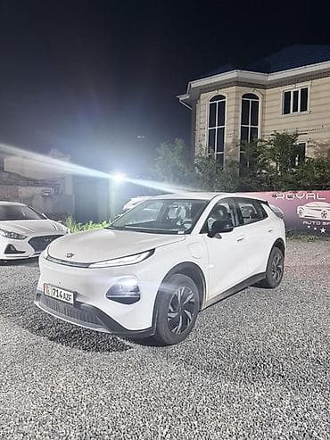 es 2020: BYD : 2026 г., Электромобиль, Кроссовер — 2