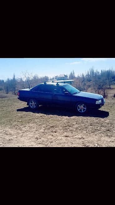 рекстон авто: Audi 100: 1989 г., 1.8 л, Кол менен иштөөчү, Бензин, Седан — 1