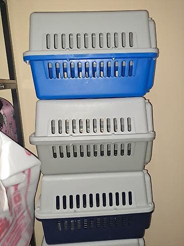 переноска для кошек и собак: Зоотовары переноска для животных пластиковая размер 48 32 30 цена 900 — 2