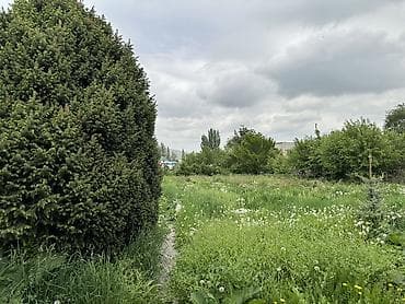 участок в селе байтик: 20 соток, Для строительства, Договор купли-продажи, Красная книга, Тех паспорт — 3