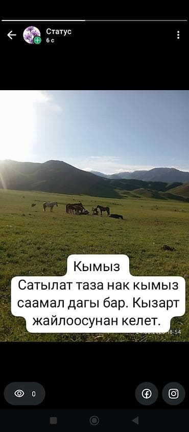 Кымыз — натуральный, свежий. Есть также саамал (парное кобылье lalafo.kg да Кымыз — натуральный, свежий. Есть также саамал (парное кобылье