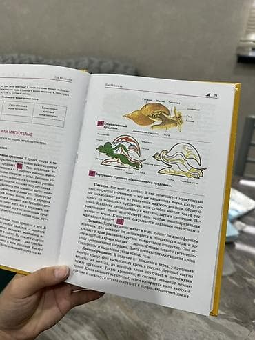 биология 8 класс китеп скачать: Учебник «Биология. Животные. 7–8»
Абсолютно новый и качественный! — 2